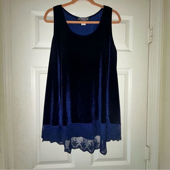 The Pyramid Collection Sleeveless A-Line Swing Tunic Top - Picture 1 of 4